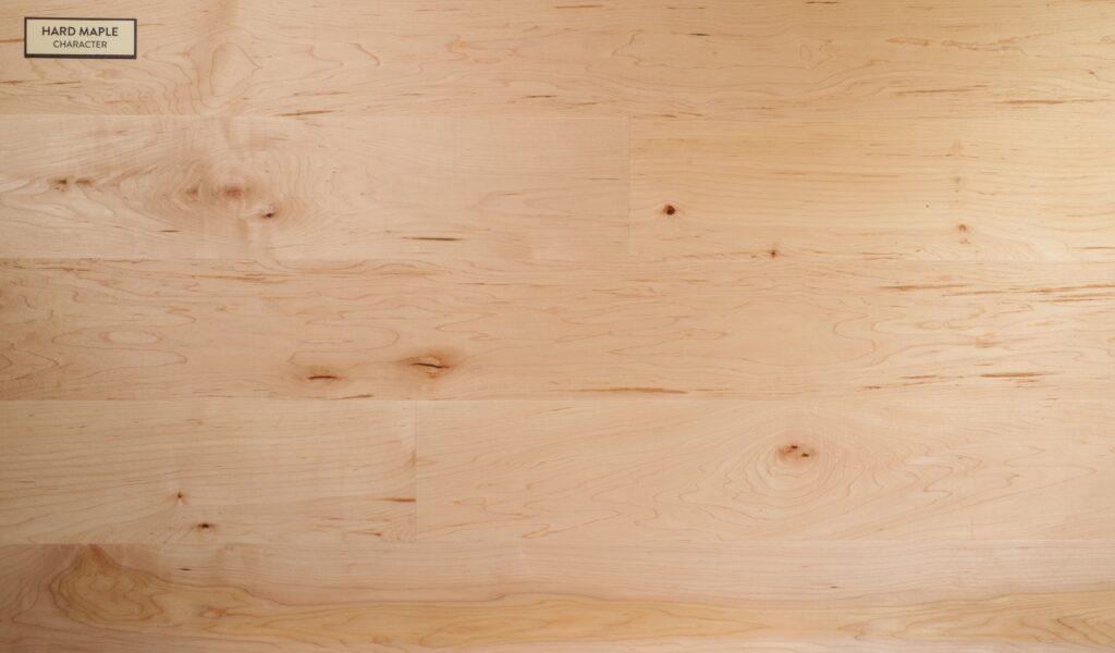 Maple Character Unfinished flooring sample